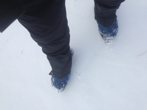 雪の丹沢を踏む。