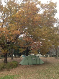 キャンプに行けない週末は近所の公園でデイキャンプ…