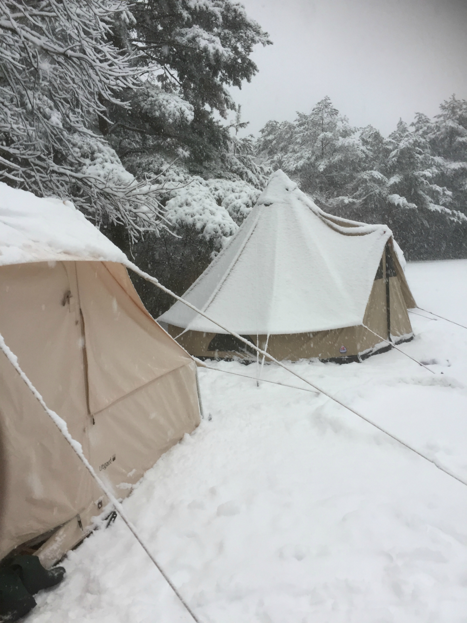 無謀だけど最高だった雪中キャンプinPICA富士西湖