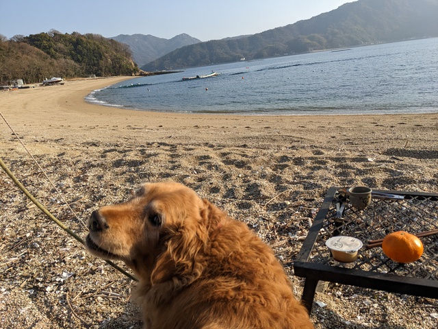久しぶりの島のキャンプ場 3 久しぶりの島のキャンプ場 3