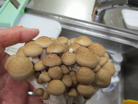 キャンプ飯を仕込んでみた♪ キャンプ飯を仕込んでみた♪