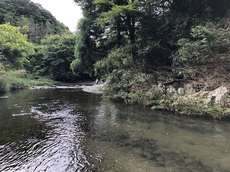 静岡県　某小河川