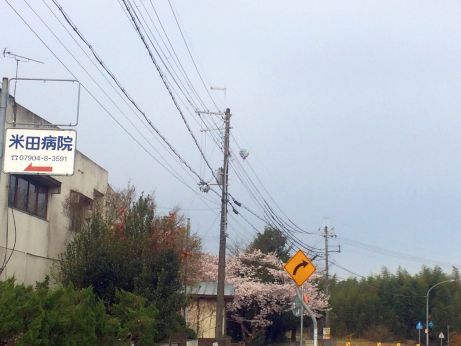 風花 風花
