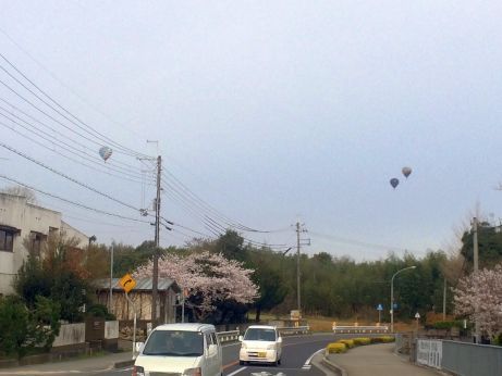 風花 風花