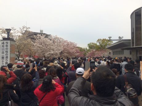 中二日 中二日