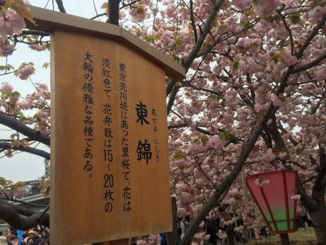中二日 中二日