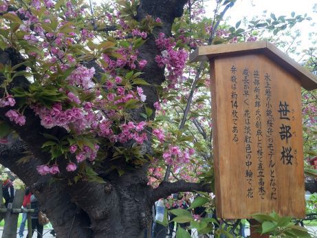 中二日 中二日