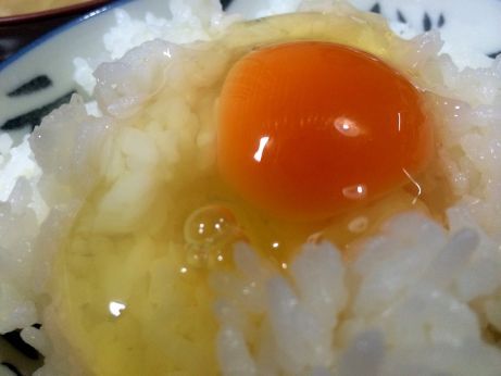たまごのお店 籠谷 【高砂荒井】 たまごのお店 籠谷 【高砂荒井】