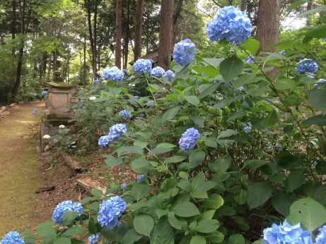 ぱんや いちむぎ 【小野市天神町】 ぱんや いちむぎ 【小野市天神町】