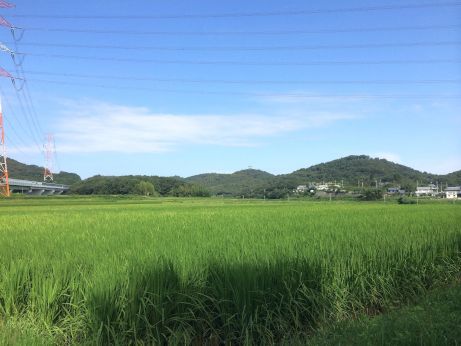ゆぴかで肌ピカ ゆぴかで肌ピカ