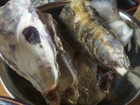 安芸の国 【明石魚住】 安芸の国 【明石魚住】