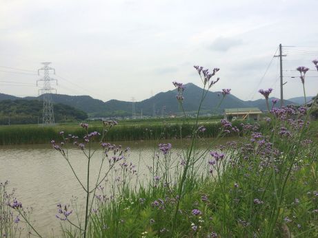 中華そば専門店 みたか 【高砂宝殿】 中華そば専門店 みたか 【高砂宝殿】