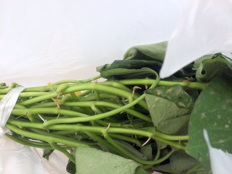 中華そば専門店 みたか 【高砂宝殿】 中華そば専門店 みたか 【高砂宝殿】