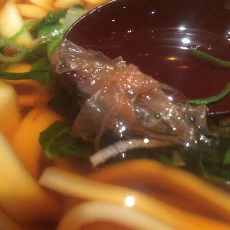 宮きしめん 竹三郎 【名古屋市中区】 宮きしめん 竹三郎 【名古屋市中区】