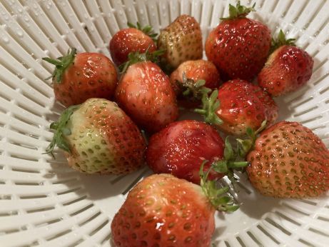 和彩旬菜 季粋 【姫路飾磨】 和彩旬菜 季粋 【姫路飾磨】