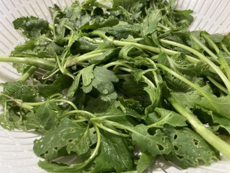 和彩旬菜 季粋 【姫路飾磨】 和彩旬菜 季粋 【姫路飾磨】