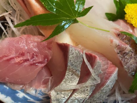 富田屋 【宮津】(つづき) 富田屋 【宮津】(つづき)