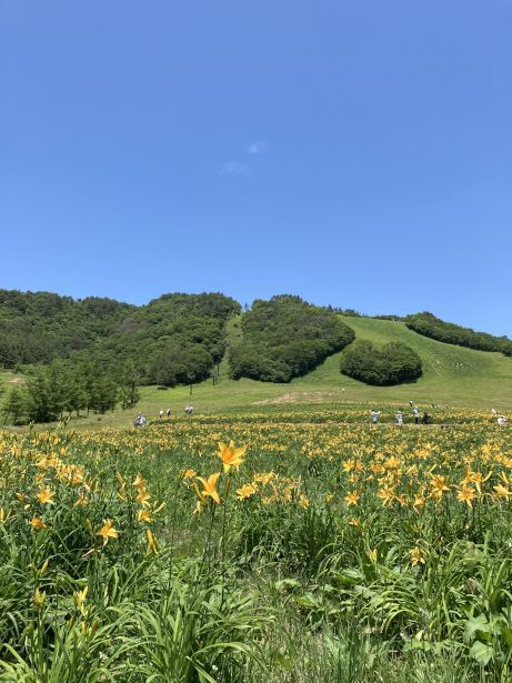 うたたねの里 いっぷく亭 【岡山鏡野】 うたたねの里 いっぷく亭 【岡山鏡野】