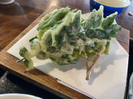 うたたねの里 いっぷく亭 【岡山鏡野】 うたたねの里 いっぷく亭 【岡山鏡野】