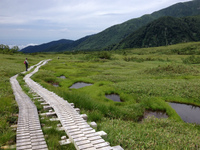 2014夏休み　おでかけＮＯ２ 野尻湖・斑尾・赤倉・富山