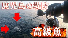 ショアジギング　朝マズメ　フラットフィッシュ　５１ｃｍ　堤防マゴチ　鹿児島　釣り