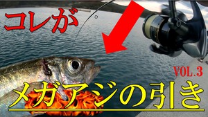 【アジング】コレがメガアジの引き　鹿児島　釣り