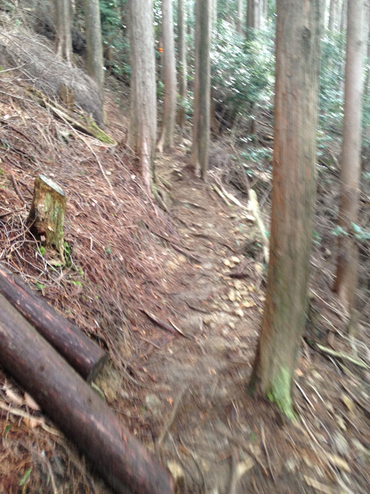 春の鈴鹿・竜ヶ岳を歩く 〜前編〜 春の鈴鹿・竜ヶ岳を歩く 〜前編〜