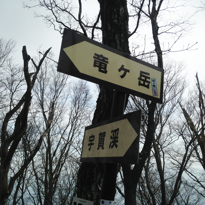 春の鈴鹿・竜ヶ岳を歩く 〜前編〜 春の鈴鹿・竜ヶ岳を歩く 〜前編〜