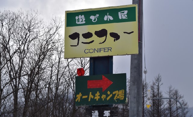 コニファー 冬ソロ