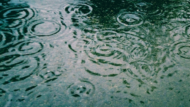 雨のブルース 雨のブルース
