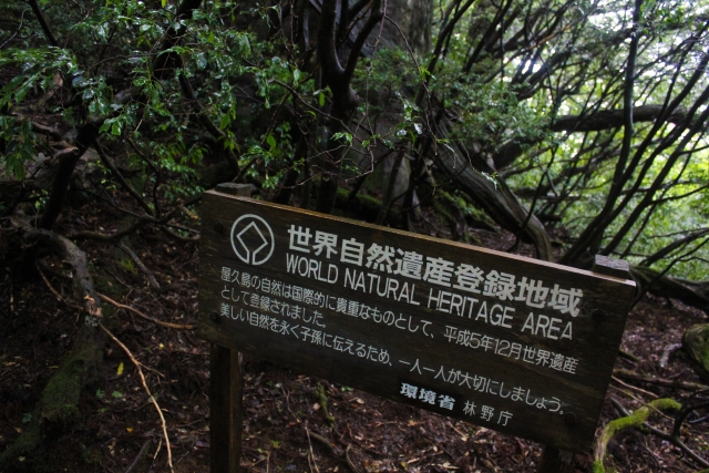 憧れの地 憧れの地
