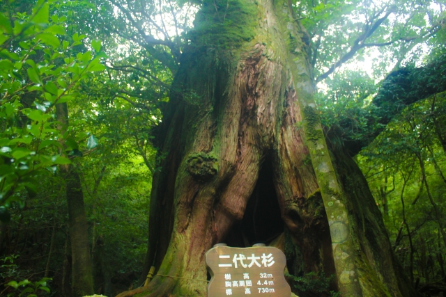 憧れの地 憧れの地