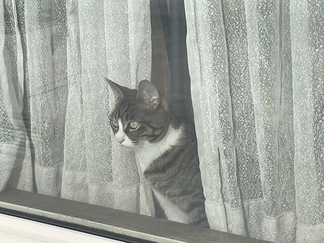 おまえ、だれにぁ~ おまえ、だれにぁ~