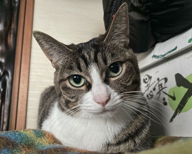 おまえ、だれにぁ~ おまえ、だれにぁ~
