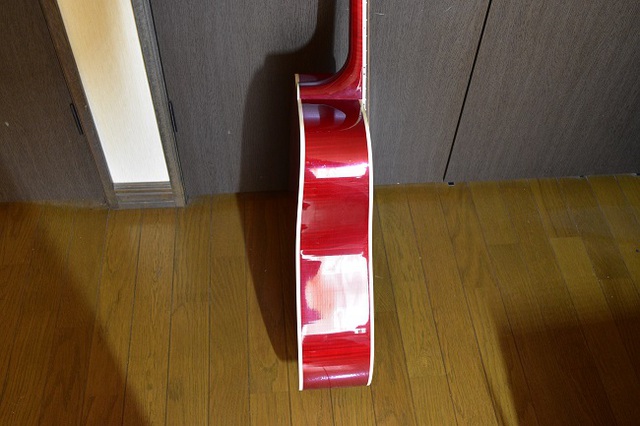 鳩