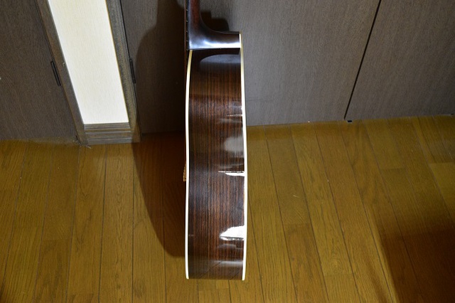 鳩