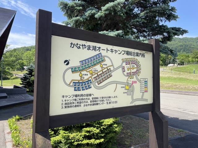 1981年 1981年