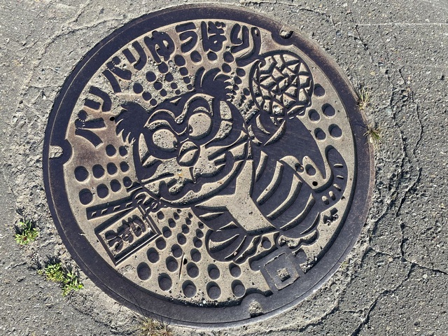 1981年 1981年