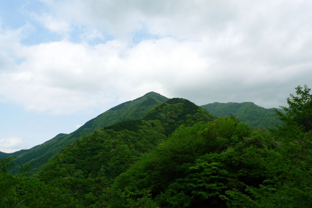 新緑の山