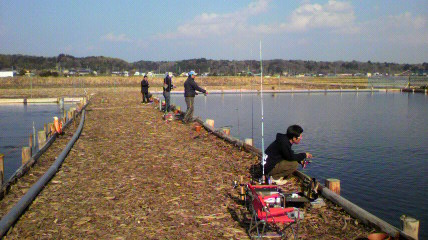 トラウトハッチェリー釣行!! 2010/3/8