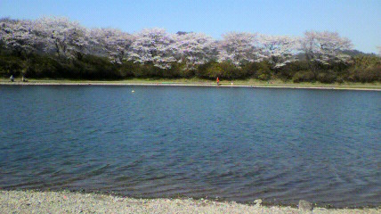 加賀フィッシングエリア釣行!!2011/4/12