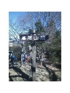 初・高尾山