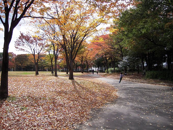 神宮東公園