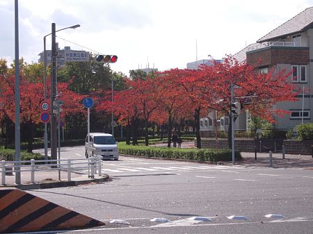 神宮東公園