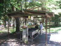 本栖湖キャンプ場