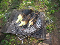 本栖湖キャンレポ最終章