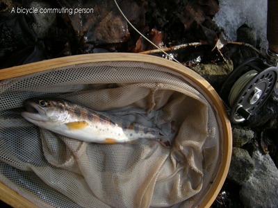 Only a dry fly no6