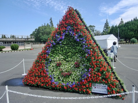 山口国体の記憶?