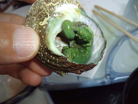 富田屋 【宮津】