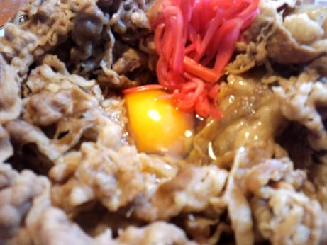 吉野家 【お持ち帰り】